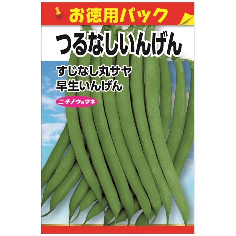 ニチノウのタネ　つるなしいんげん　お徳用パック