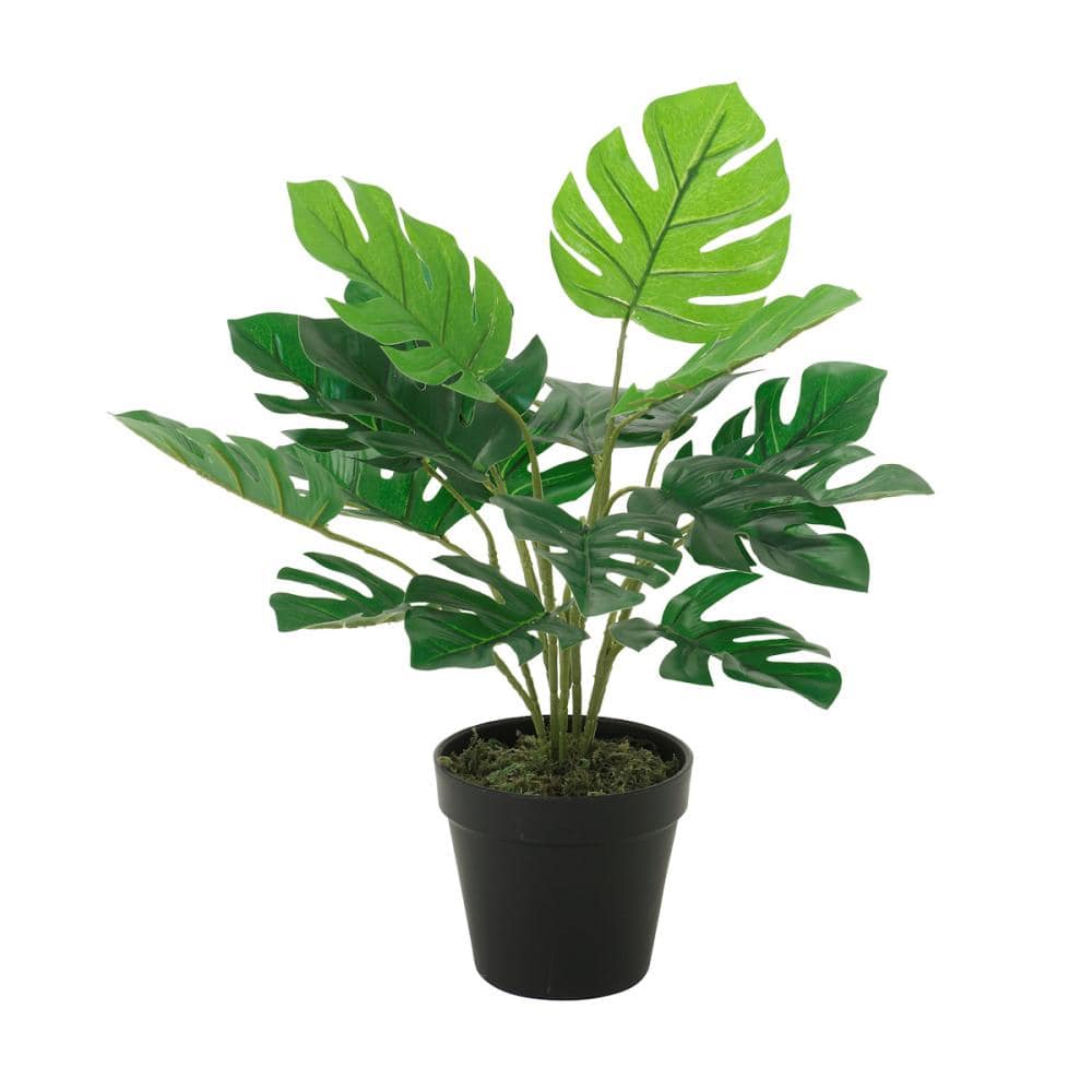 Ｂｒｅｅｚｙ　Ｇｒｅｅｎ　インテリアアート　モンステラ　４５ｃｍ