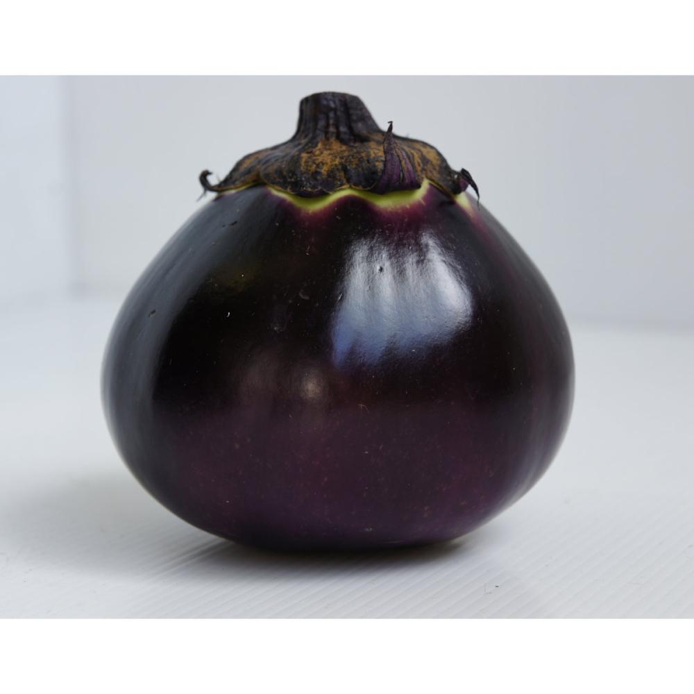 【春予約】　ナス苗　小布施丸なす　（よりどり4個セット専用）　【申込期限：３月２２日（日）】　【引渡予定日：４月４日（土）～１２日（日）】