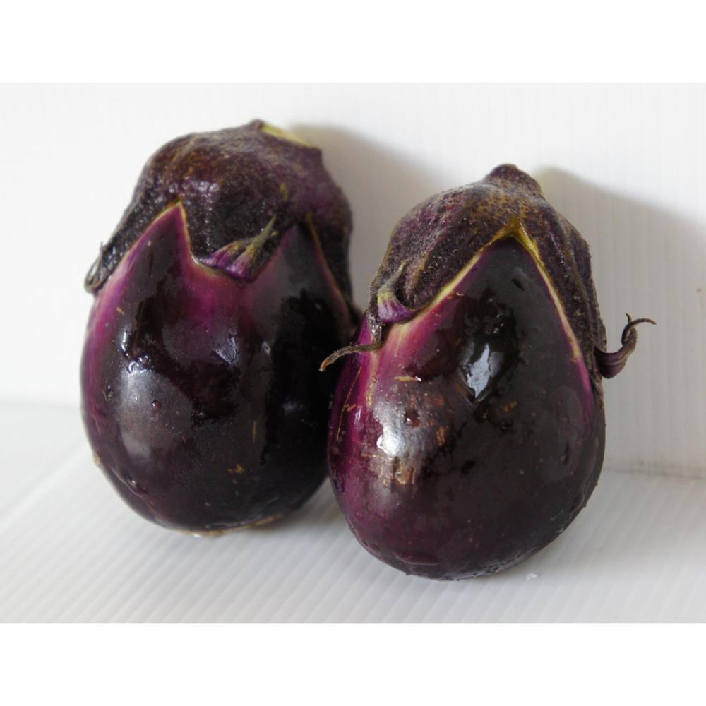 【春予約】　ナス苗　長岡梨なす　（よりどり4個セット専用）　【申込期限：３月２２日（日）】　【引渡予定日：４月４日（土）～１２日（日）】