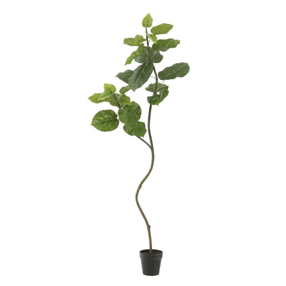 Ｂｒｅｅｚｙ　Ｇｒｅｅｎ　インテリアアート　ウンベラータ　１５０ｃｍ