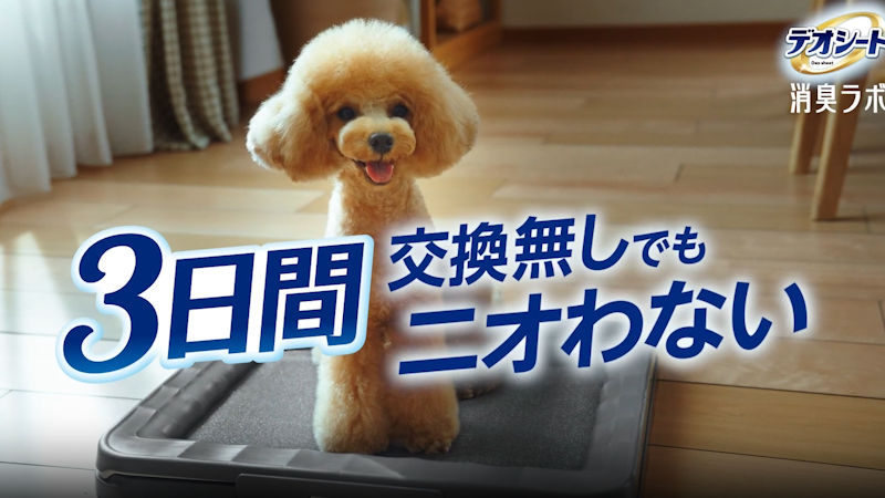商品動画サムネイル