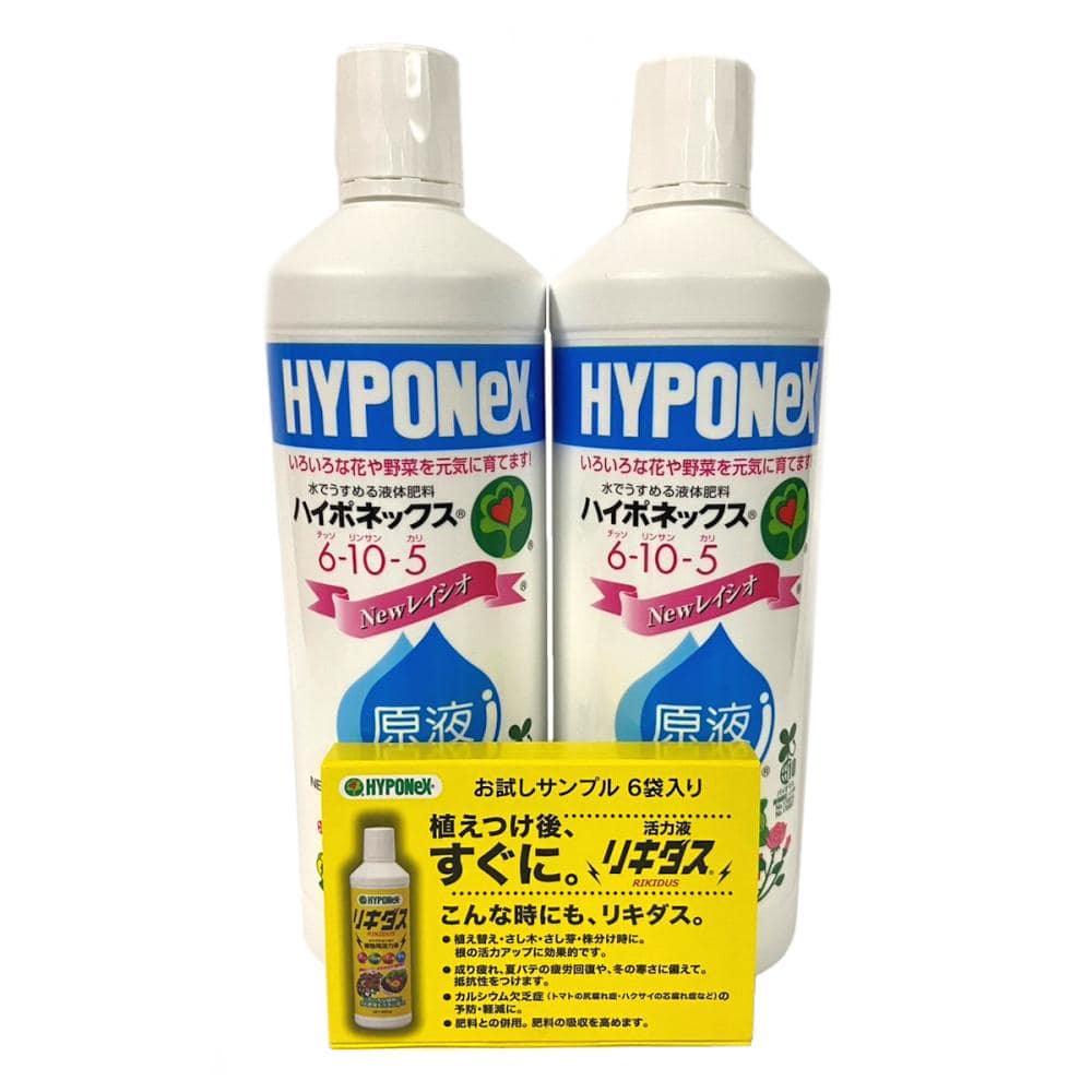 レイシオ原液　８００ｍL　２本入り　オマケ付き