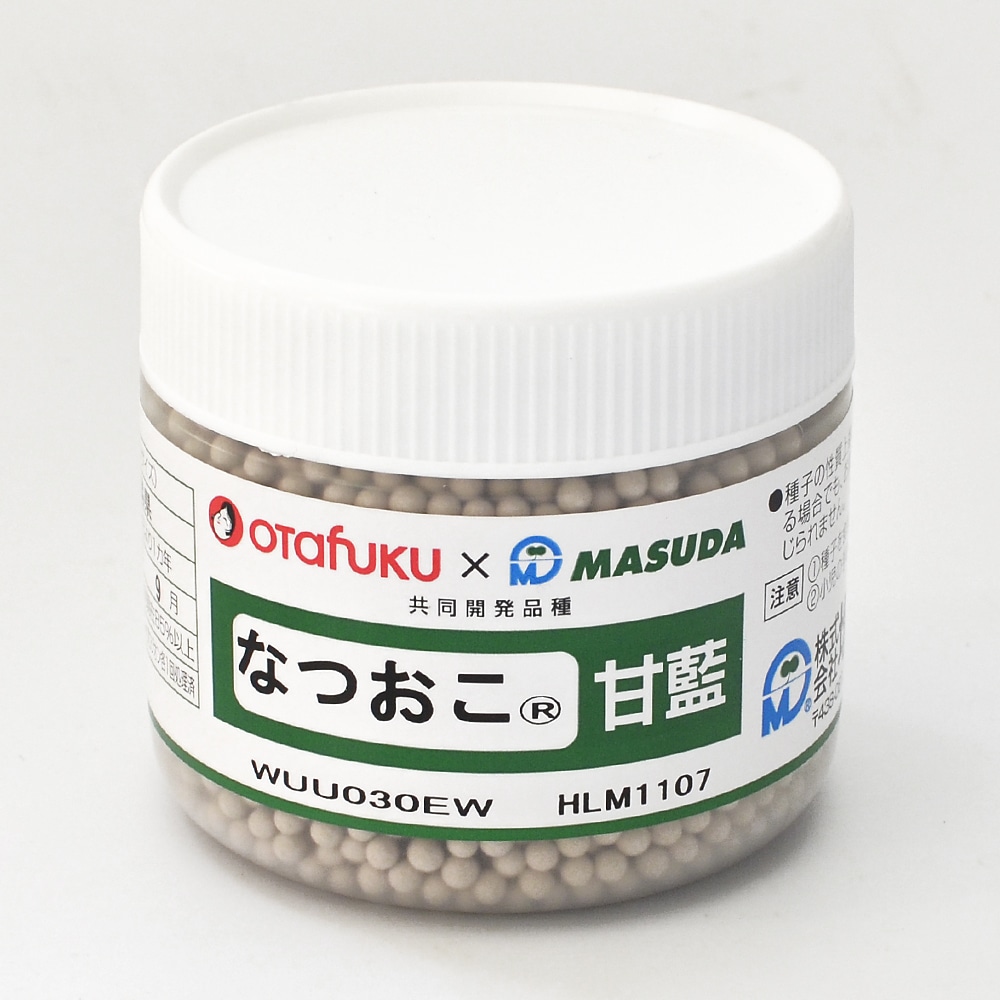 キャベツ種子　なつおこ（Ｒ）キャベツ　コート（５０００粒）