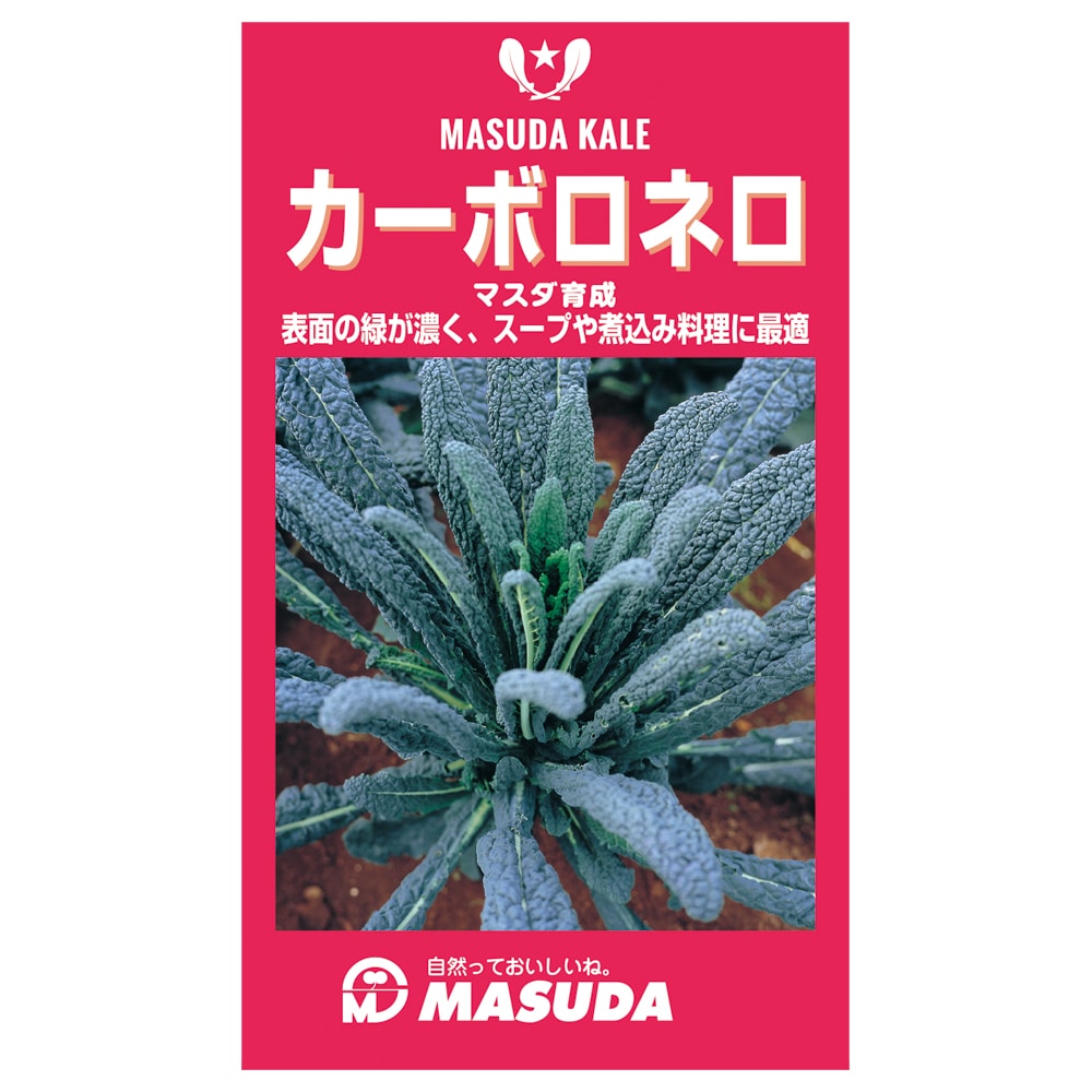 ケール種子　カーボロネロ（黒キャベツ）小袋（２００粒）