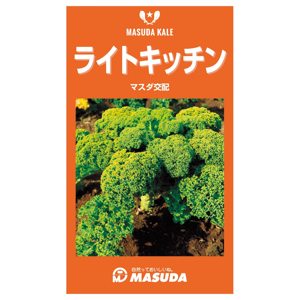 ケール種子　ライトキッチン（Ｆ１）小袋２００粒