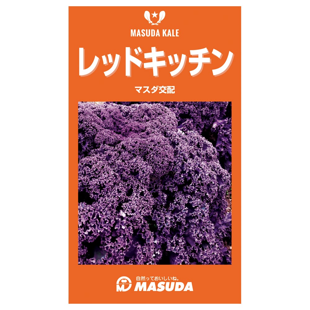 ケール種子　レッドキッチン（Ｆ１）小袋２００粒