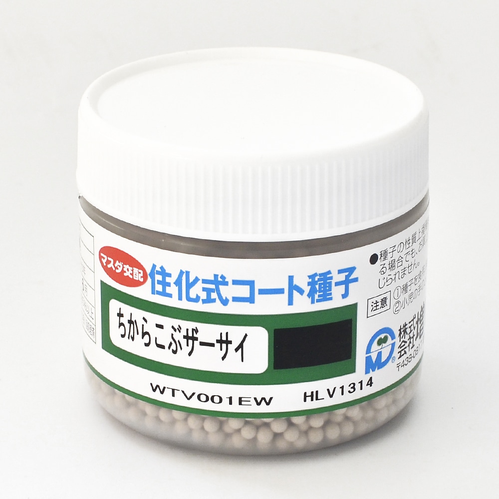 ザーサイ種子　ちからこぶザーサイ　コート（５０００粒）