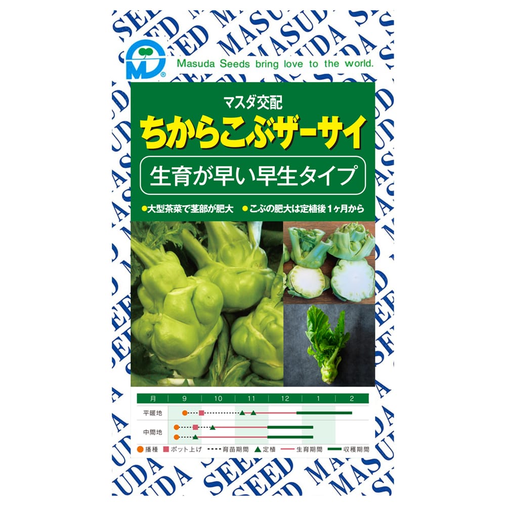 ザーサイ種子　ちからこぶザーサイ　コート（２００粒）