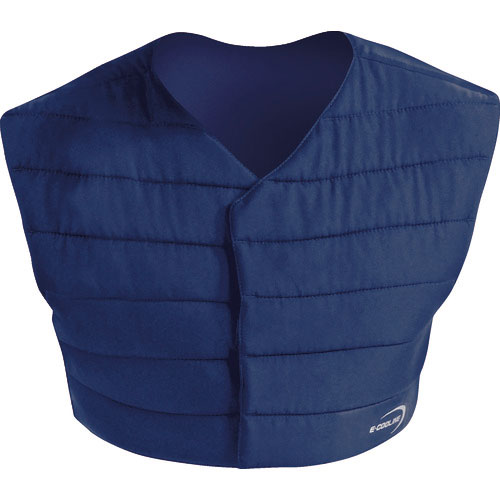 Ｅ－ＣＯＯＬＩＮＥ　ベストＭ　持続冷却　ＳＸ３テクノロジー＿