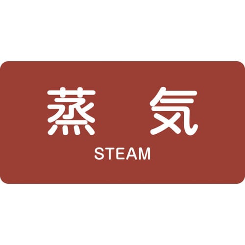 緑十字　配管識別ステッカー　蒸気　ＨＹ－４０１Ｌ　６０×１２０ｍｍ　１０枚組　アルミ　英文字入＿