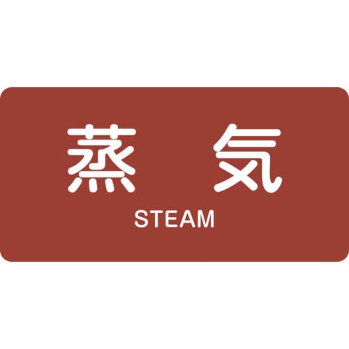 緑十字　配管識別ステッカー　蒸気　ＨＹ－４０１Ｍ　４０×８０ｍｍ　１０枚組　アルミ　英文字入＿