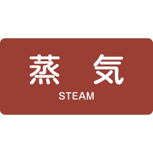緑十字　配管識別ステッカー　蒸気　ＨＹ－４０１Ｓ　３０×６０ｍｍ　１０枚組　アルミ　英文字入＿