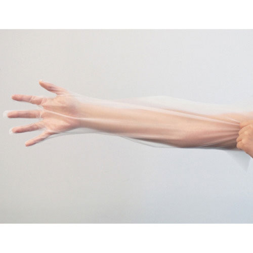 竹虎　使い捨て手袋　ピレンワイプロング　Ｍ　５０枚入＿