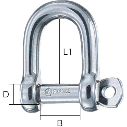 Ｗｉｃｈａｒｄ　セルフロックＤシャックル　１２０１＿