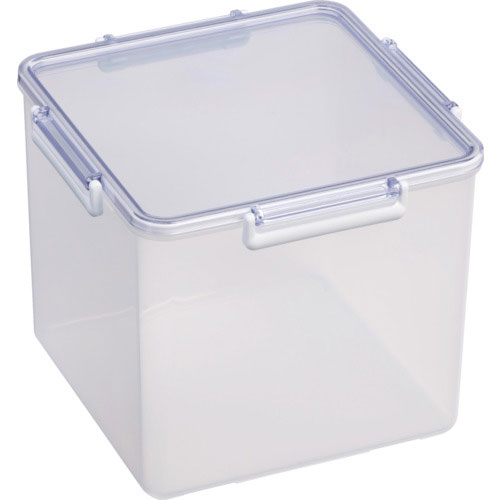 蝶プラ　シールボーイ杉型＿