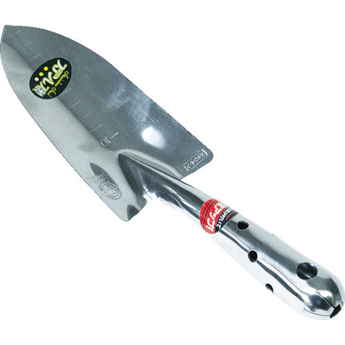 金象　ＦＧ　オールステン共柄コテ＿