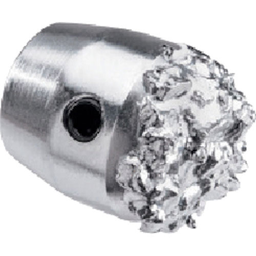 ＲＩＤＧＩＤ　フレックスシャフト（Ｋ９－３０６）専用推進チップ＿