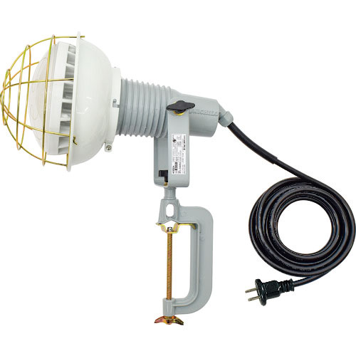 日動　エコビックＬＥＤ投光器４０Ｗ　昼白色　２Ｐ　５Ｍ＿