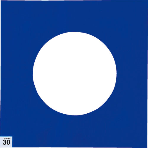 ＴＲＵＳＣＯ　まとめ買い　エアーシャワー用粘着シート　３００Ｘ３００　３０枚　中粘度　青　１０シート＿