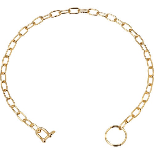 水本　ステンレス　ポケットチェーンＳＰ型（ゴールド）　全長３００ｍｍ＿