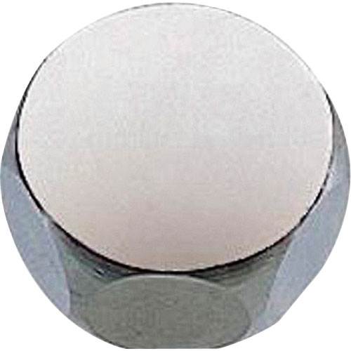 ＳＡＮＥＩ　キャップナット＿