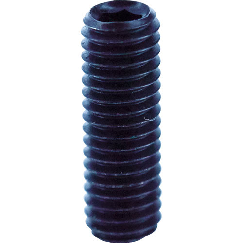 ＴＲＵＳＣＯ　六角穴付止めねじ　平先　黒染め　Ｍ５×８　８０本入＿