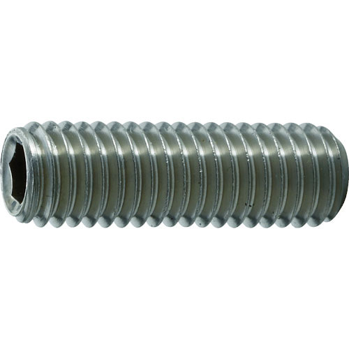 ＴＲＵＳＣＯ　六角穴付止めねじ　平先　ステンレス　Ｍ８×１０　３５本入＿