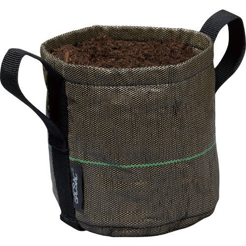 ＢＡＣＳＡＣ　ＣＬＡＳＳＩＣ　ＢＳ　ポット３Ｌ＿