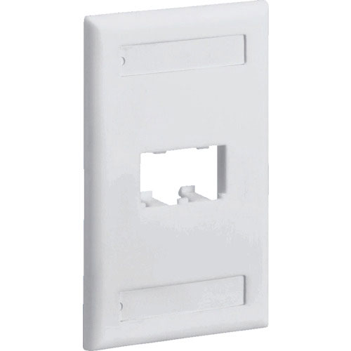 パンドウイット　スイッチボックス用フェースプレート　２ポート用　オフホワイト＿