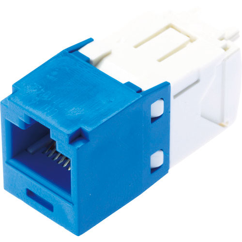 パンドウイット　カテゴリ６モジュラージャック　青＿