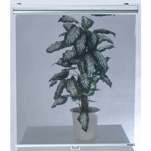 ＴＲＵＳＣＯ　マグネット取り付け式ロールシート　９２０ｍｍＸ１８００ｍｍ　透明シートタイプ＿