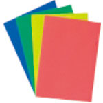 ＪＴＸ　８９７３０）カラーホルダー　Ａ４　ＭＸ２０枚　Ｄ６１１Ｊ－ＭＸ＿