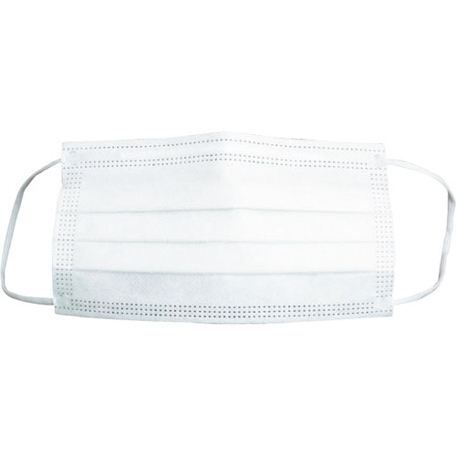 ＴＲＵＳＣＯ　デイリーマスク（耳掛けタイプ）３層（５０枚入）＿