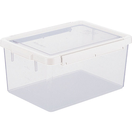 リス　パッセタイトＴＷ－１００＿