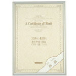 ナカバヤシ　アルミ賞状額縁／大Ａ３／太子＿