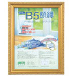 ナカバヤシ　軽量額（キンケシ）パック／Ｂ５＿