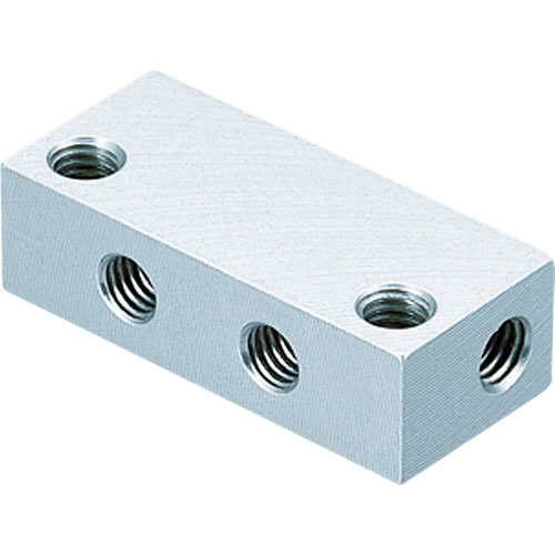 アインツ　マニホールド・ミニ用＿