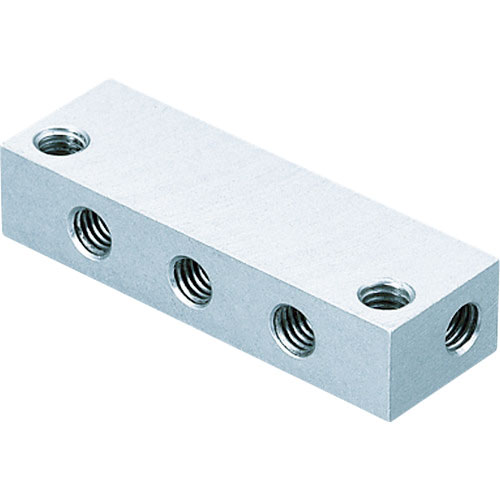 アインツ　マニホールド・ミニ用＿