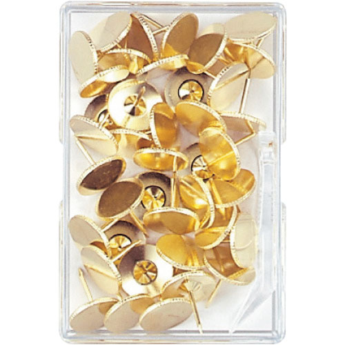 ミツヤ　二重画鋲足長　４０本　Ｍ１０１５４＿