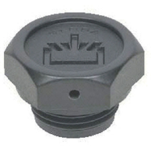 ＥＬＥＳＡ　オイルプラグ＿