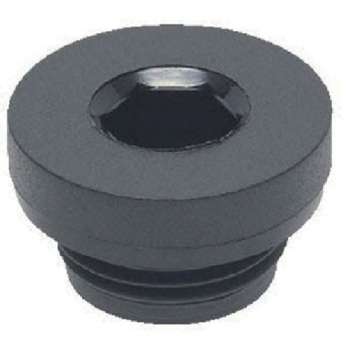 ＥＬＥＳＡ　オイルプラグ＿