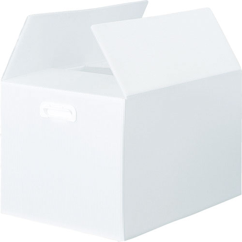 ＴＲＵＳＣＯ　ダンボールプラスチックケース　５枚セット　Ｂ３サイズ　取っ手穴なし　半透明＿