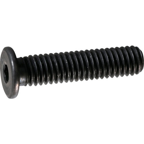 ＴＲＵＳＣＯ　超低頭キャップボルト　スチール黒染め　Ｍ８×２５　５本入　／六角穴付ボルト（ＣＡＰ）　＿