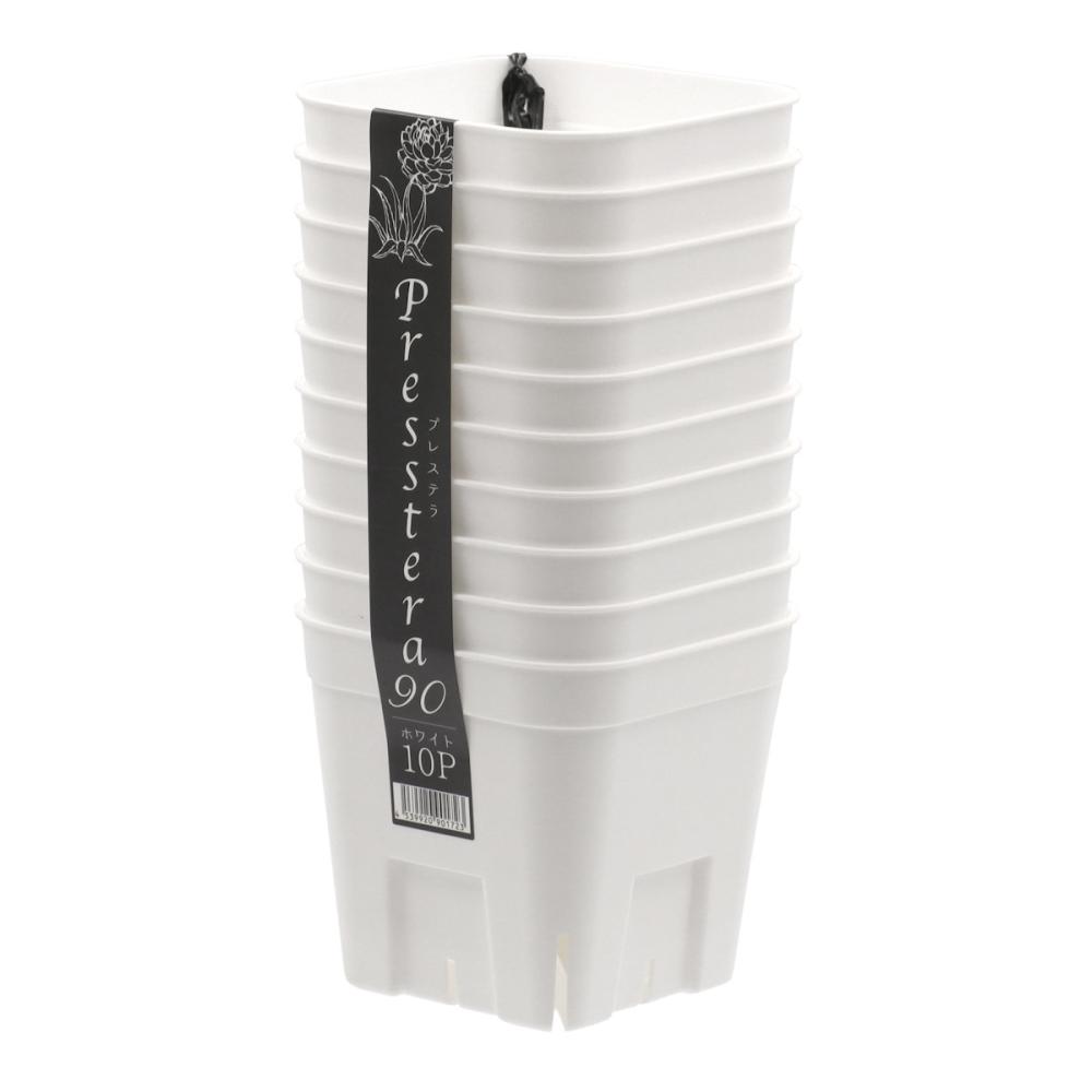 アップルウェアー　プレステラ９０　ホワイト　１０個組