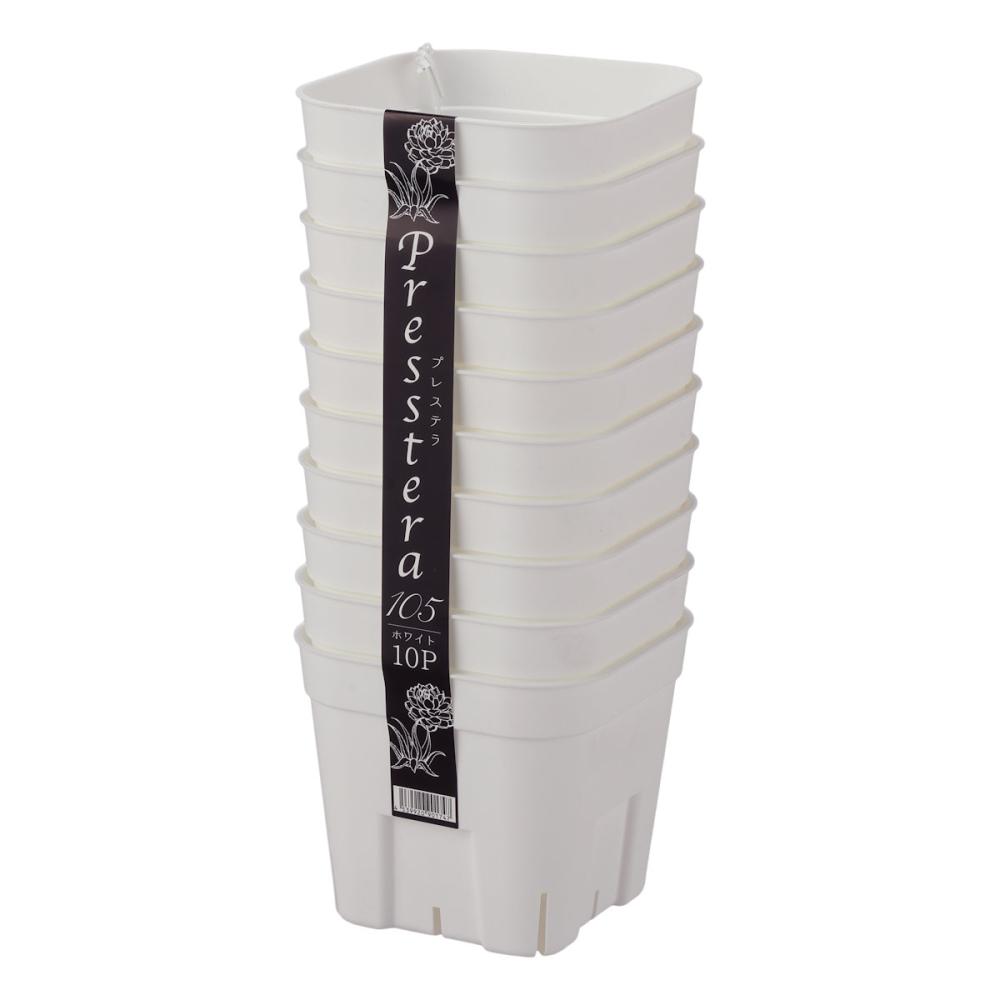 アップルウェアー　プレステラ１０５　ホワイト　１０個組