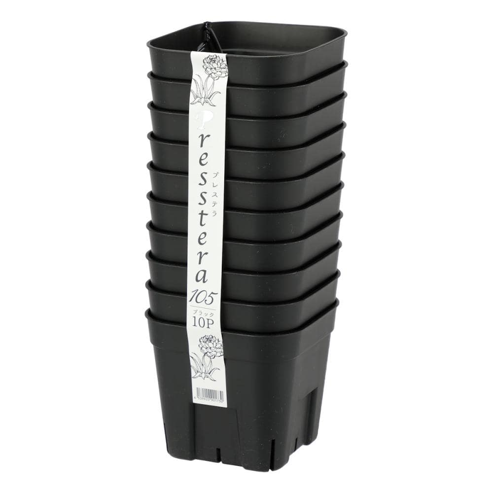 アップルウェアー　プレステラ１０５　ブラック　１０個組