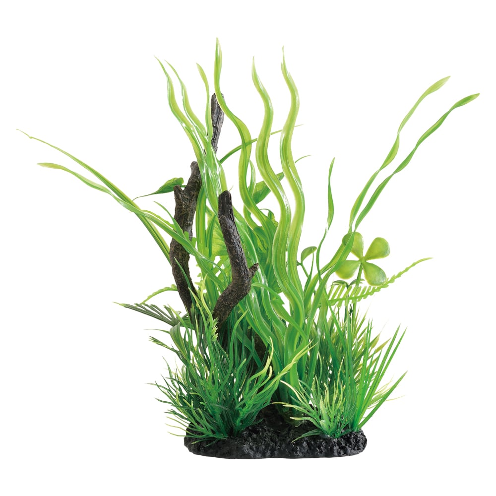 ＧＥＸ　癒し水景　ＭＩＸプランツ　ウッド　バリスネリア