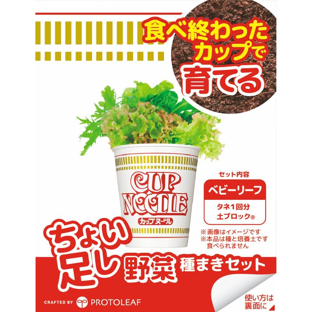 ちょい足し野菜　栽培キット　ベビーリーフ