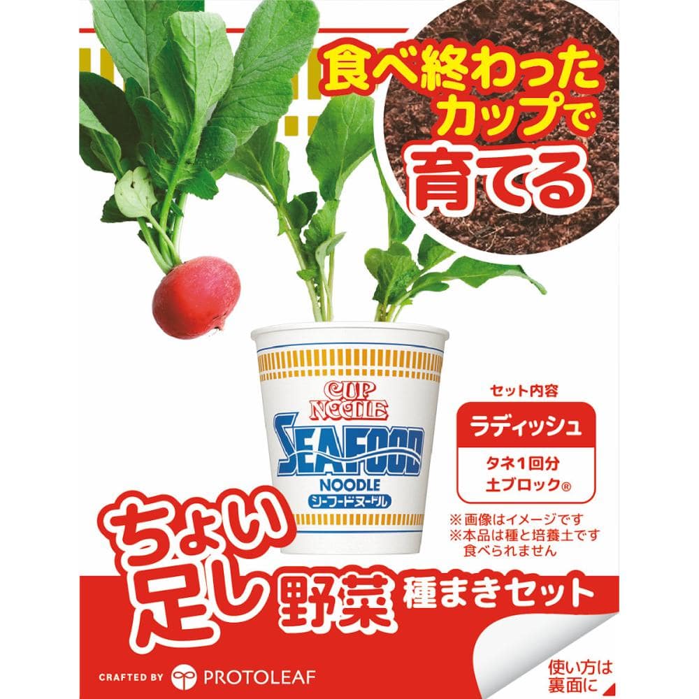 ちょい足し野菜　栽培キット　ラディッシュ